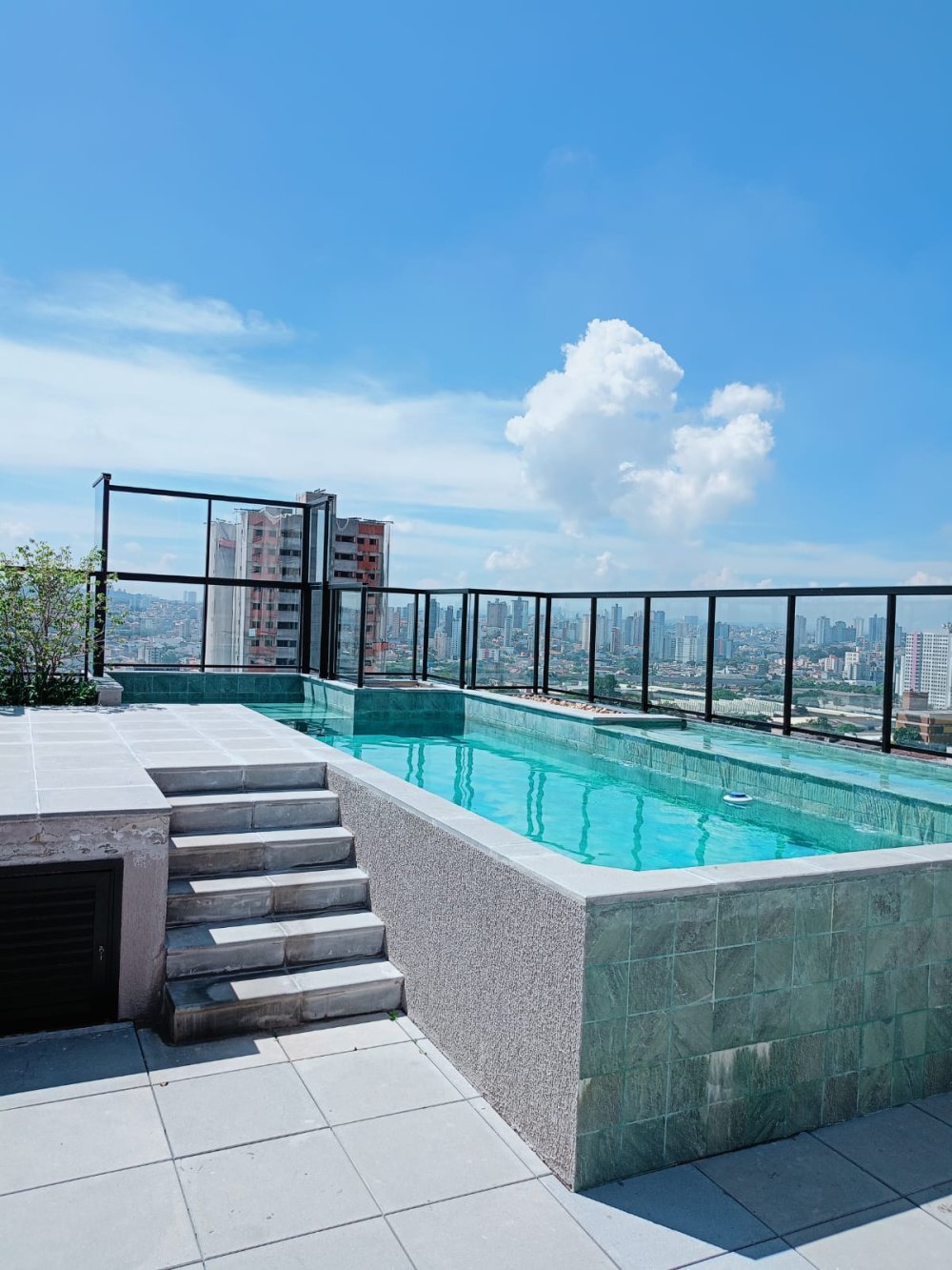 Apartamento - Venda - Campestre - Santo André - SP
